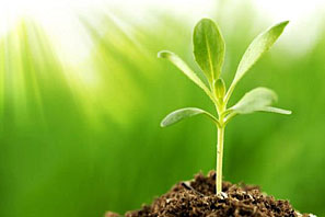 Quantum Healing Hypnosis Therapy, QHHT, Jimmy Trainor